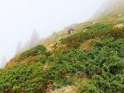 21 Verde sotto, grigio-chiaro sopra